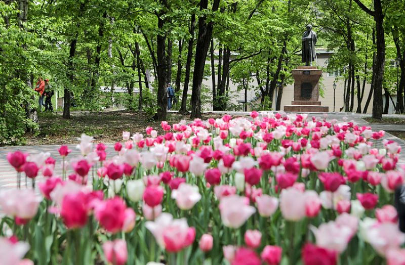 Более 300 дворов и парков благоустроят в Приморье в 2024 году.