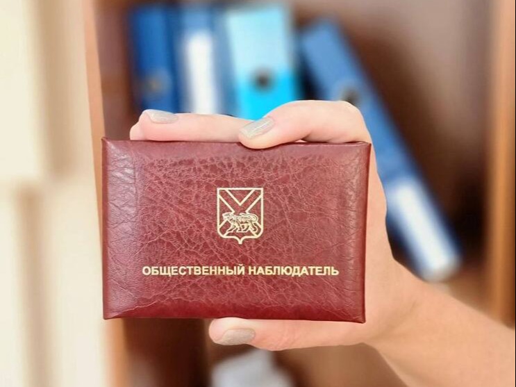Стань общественным наблюдателем!.
