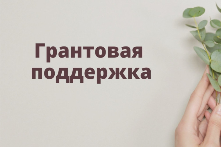 Грантовая поддержка в Приморском крае. Грантовая поддержка в Приморском крае.